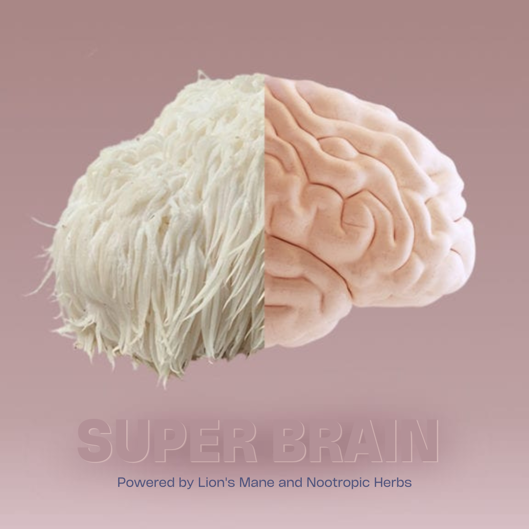 super brain powered by lion's mane and nootropic herbs